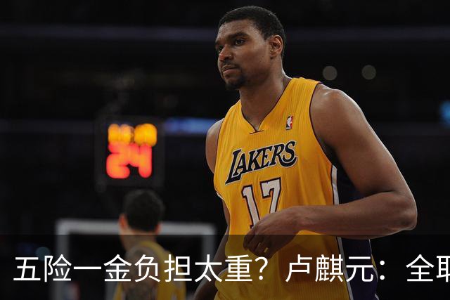 五险一金负担太重？卢麒元：全取消，征房产直接税，经济才会正常